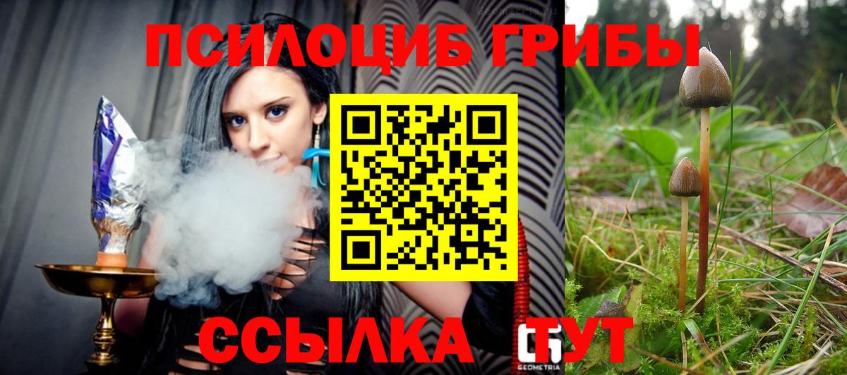 Галлюциногенные грибы прущие грибы Волжский