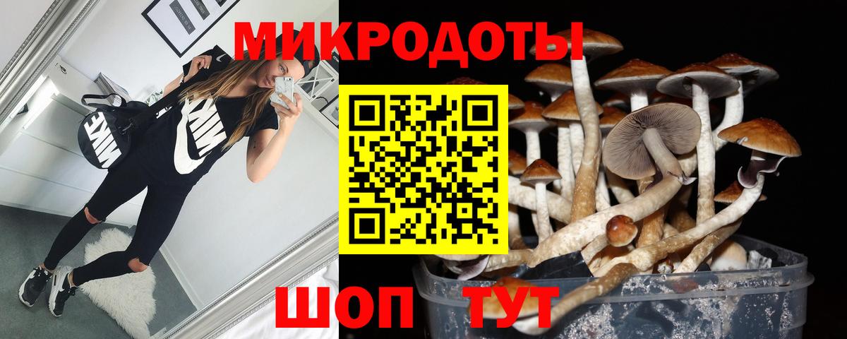 Волжский  Псилоцибиновые грибы мицелий  Галлюциногенные грибы Cubensis  Вход с VPN 